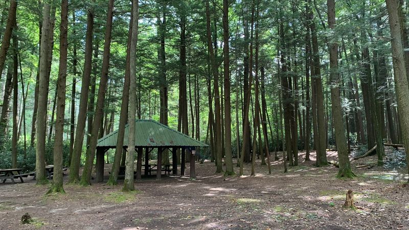Picnic Pavilions with Fireplaces