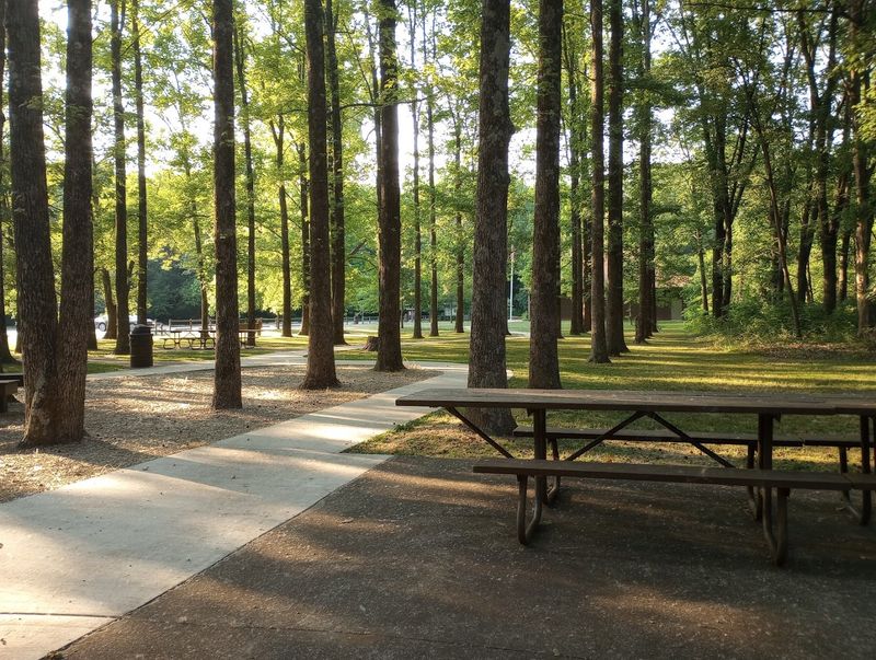 Picnic Shelters and Family Gathering Spaces