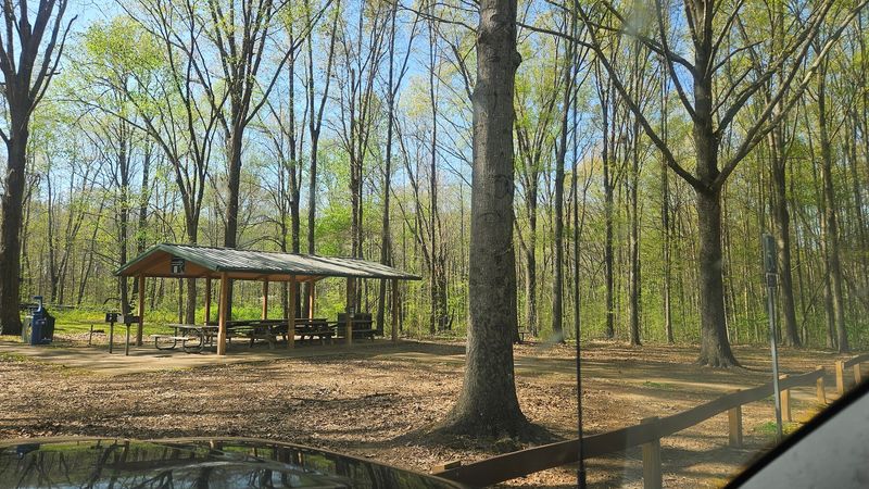 Picnic Spots Surrounded by Nature