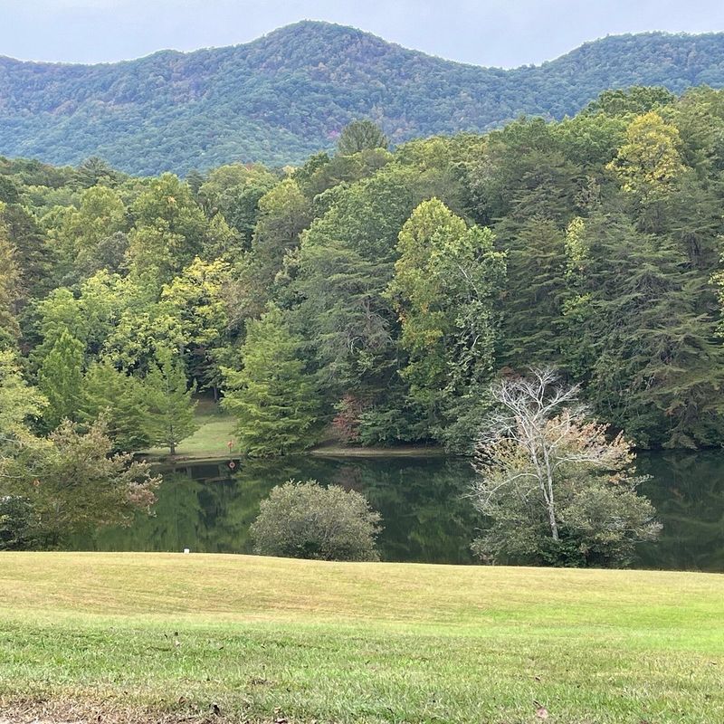 Picnic Spots Where Nature Sets the Table