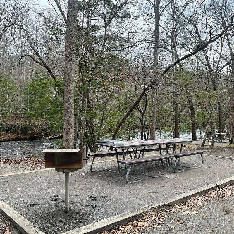 Picnicking Spots Perfect for a Relaxed Afternoon