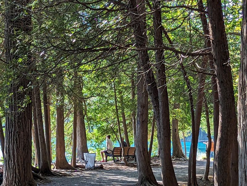 Picnicking With a View Worth Savoring