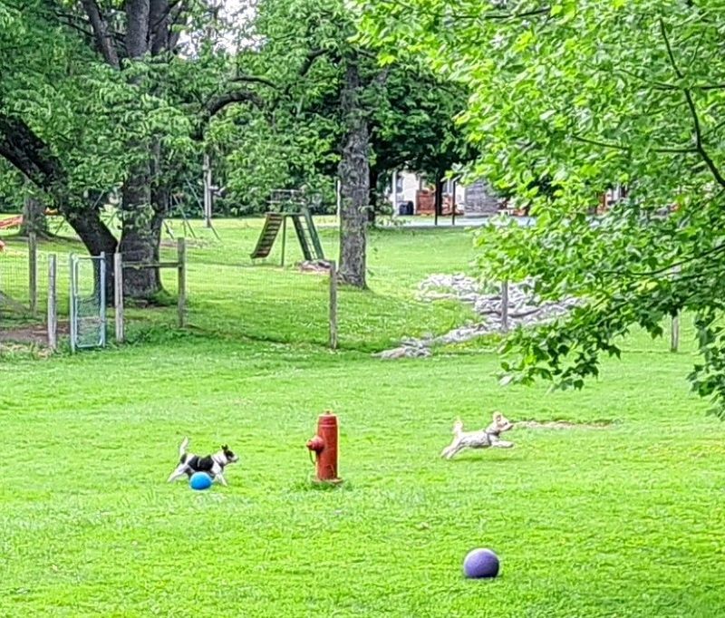 Picnicking and Relaxing Outdoors