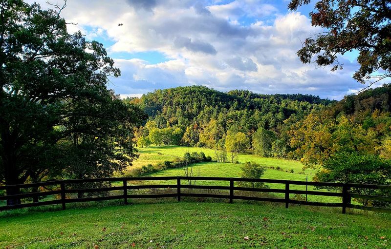Picnicking in Postcard-Perfect Surroundings