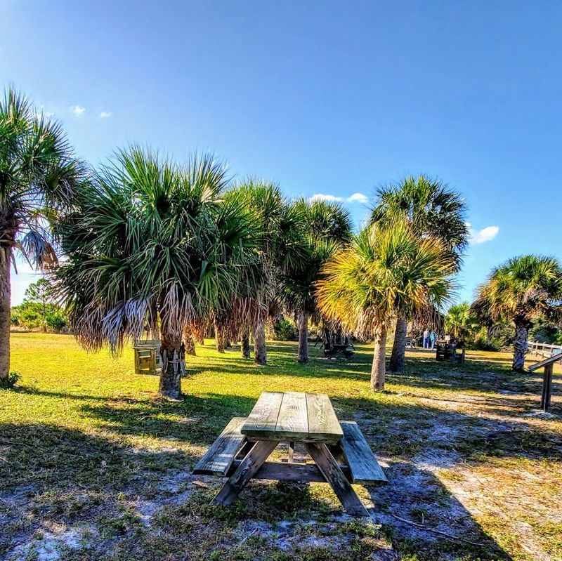 Picnicking in the Shade
