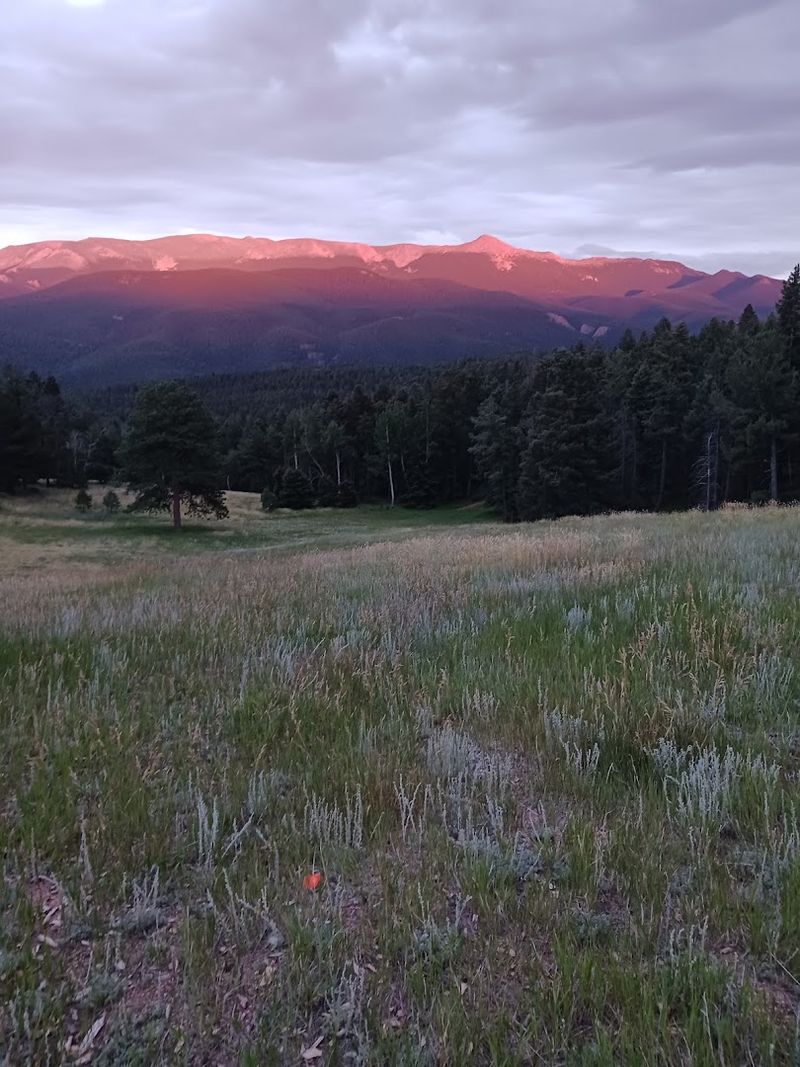 Pikes Peak Views That Stop You in Your Tracks
