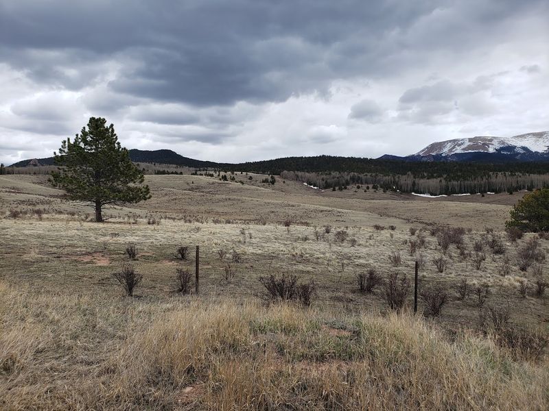 Pikes Peak Views That Stop You in Your Tracks