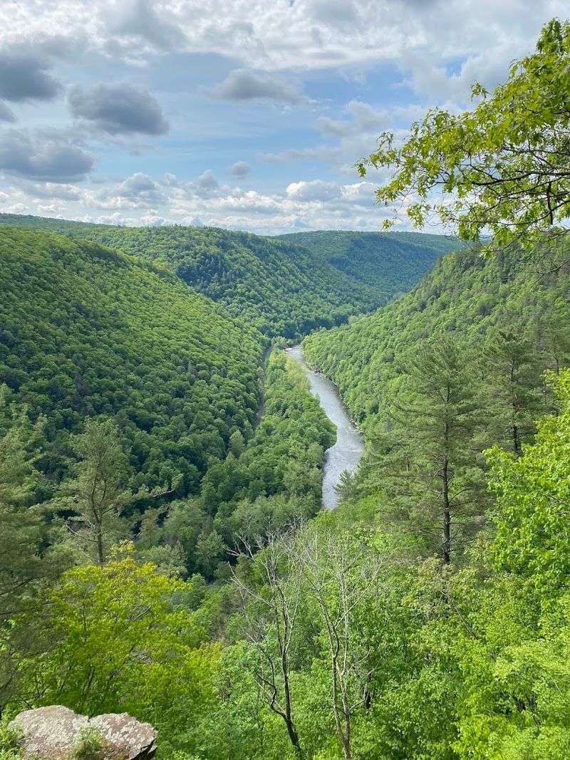 Pine Creek Gorge - Watson Township, Pennsylvania Pine Creek Gorge - Watson Township, Pennsylvania