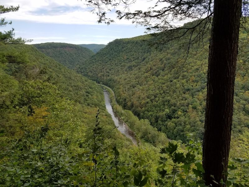 Pine Creek Gorge - Wellsboro, Pennsylvania