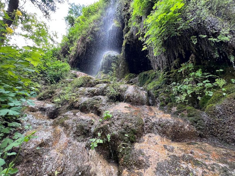 Pine Creek and the Waterfall Hidden Inside the Park