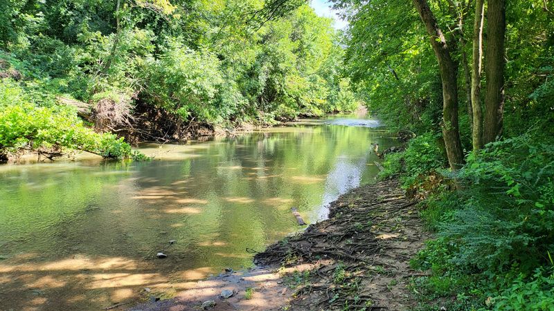 Pinkerton Park: Nature and History Side by Side