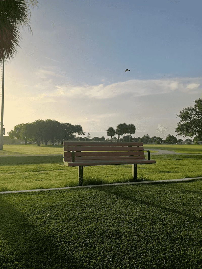 Pioneer Park Is the Perfect Spot to Slow Down Pioneer Park Is the Perfect Spot to Slow Down