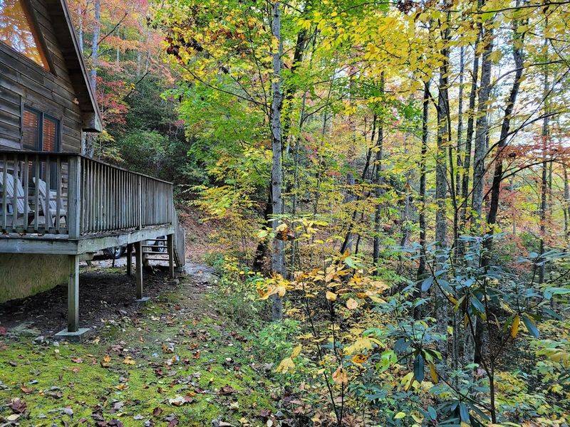 Pisgah National Forest Trailheads