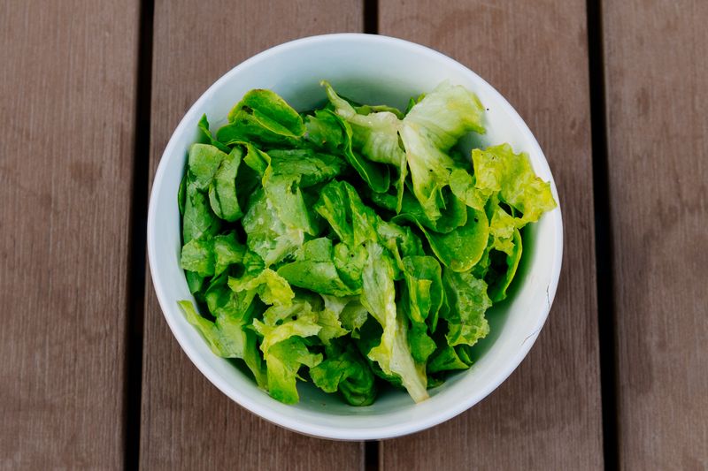 Plain Salad