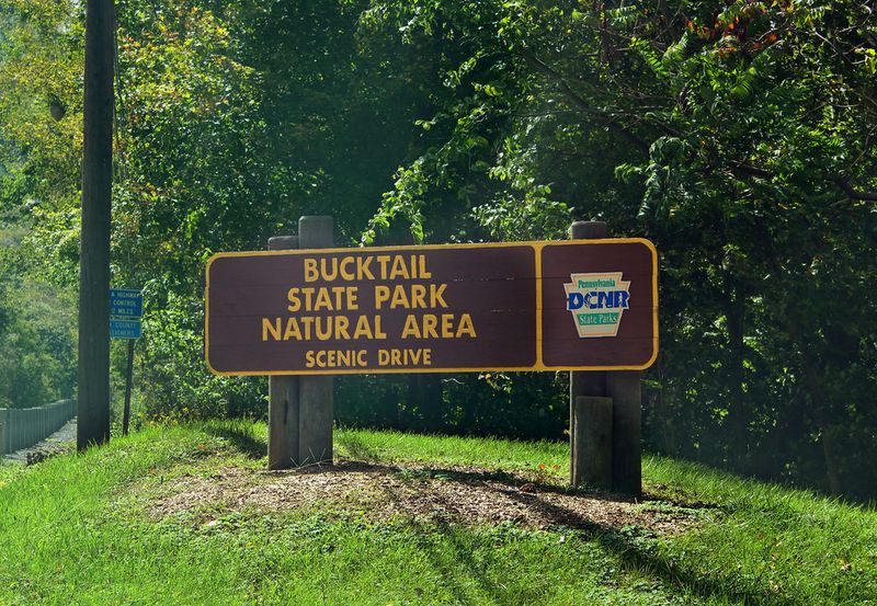 Planning Your Visit: Practical Tips for Getting the Most Out of Bucktail Planning Your Visit: Practical Tips for Getting the Most Out of Bucktail