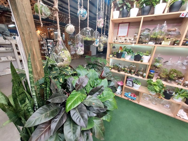 Plants and Garden Finds for Nature Lovers
