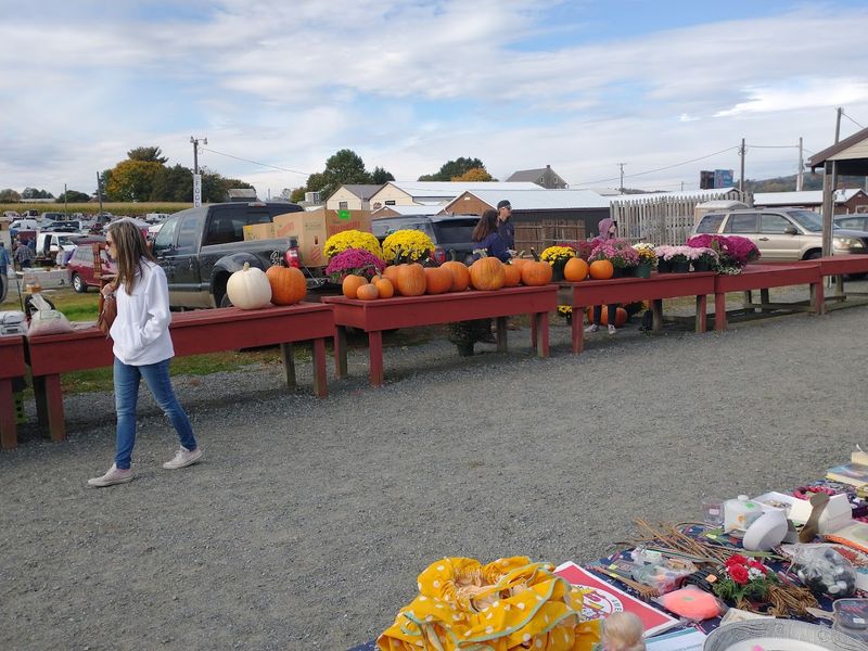 Plants for Sale That Green Thumbs Can't Resist