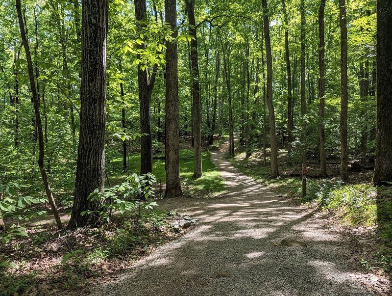 Pocahontas State Park - Chesterfield, Virginia