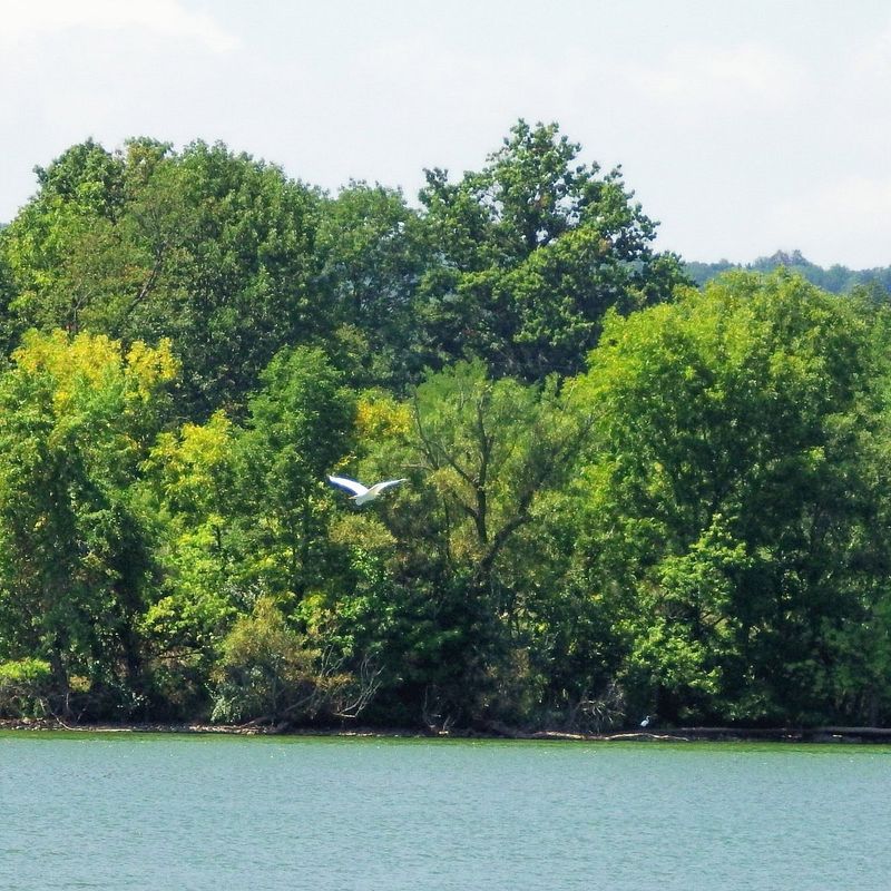 Poe Valley State Park: Camping Like It's 1975