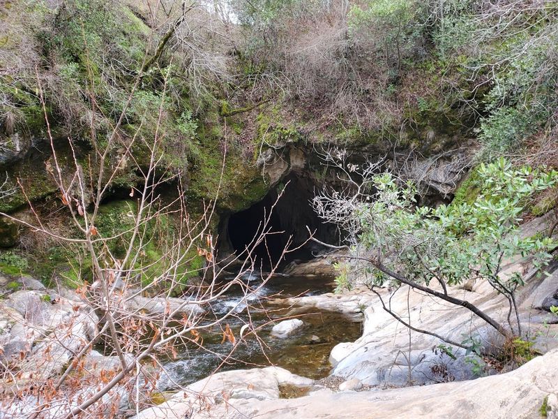 Poison Oak: The Hidden Hazard You Cannot Ignore