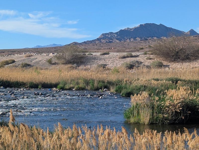 Ponds, Streams, and the Las Vegas Wash: Water Everywhere Ponds, Streams, and the Las Vegas Wash: Water Everywhere