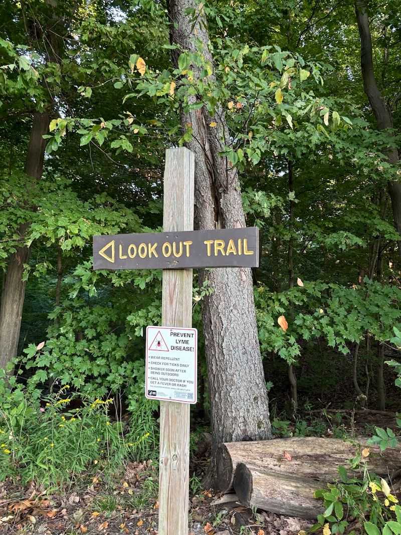 Practical Tips for First-Time Visitors