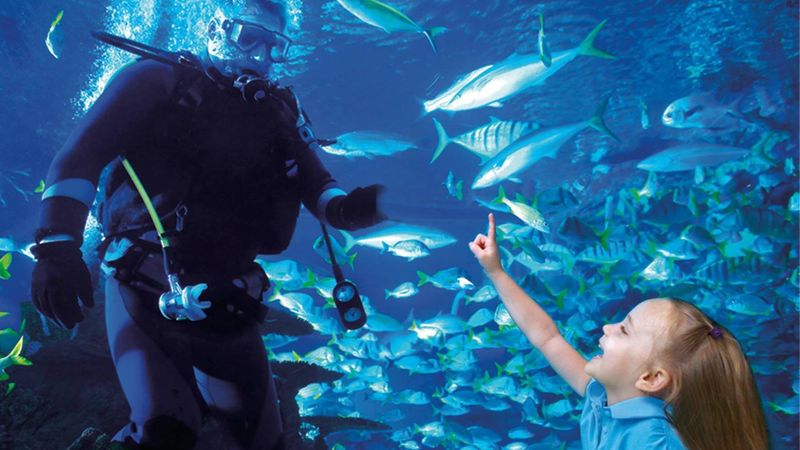 Practical Tips for Planning Your Visit