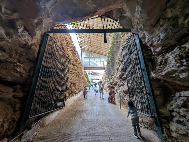 Practical Tips for Planning Your Visit