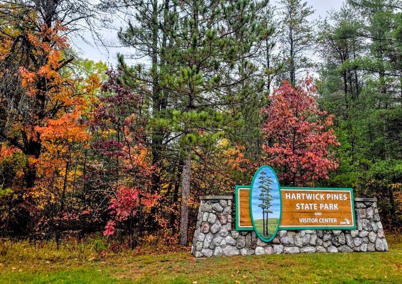 Practical Tips for Planning Your Visit to Hartwick Pines