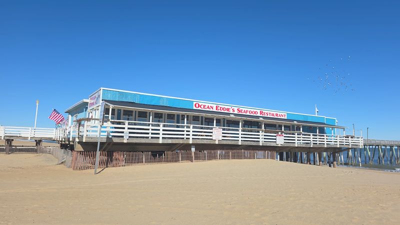 Practical Tips for Planning Your Visit to Ocean Eddies Practical Tips for Planning Your Visit to Ocean Eddies