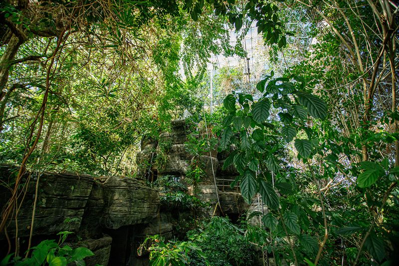 Practical Tips for Planning Your Visit