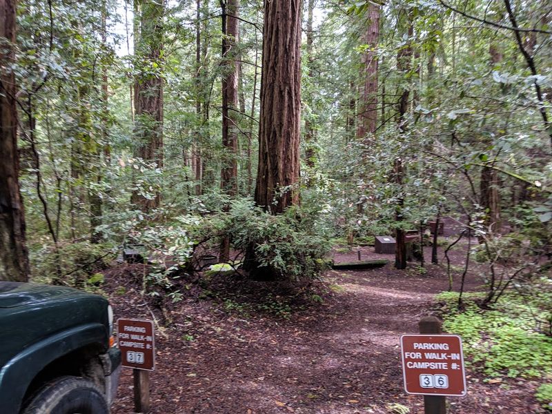 Practical Tips for Visiting Butano State Park