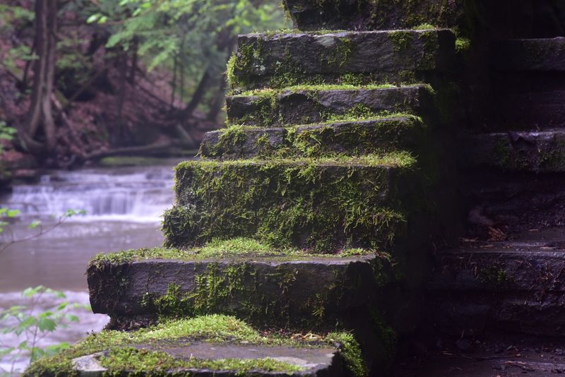 Practical Tips to Make the Most of Your Visit Practical Tips to Make the Most of Your Visit