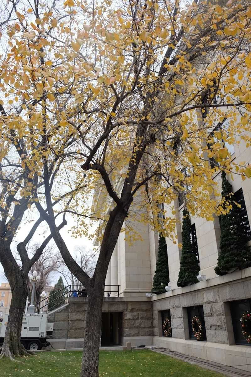 Prescott, Arizona