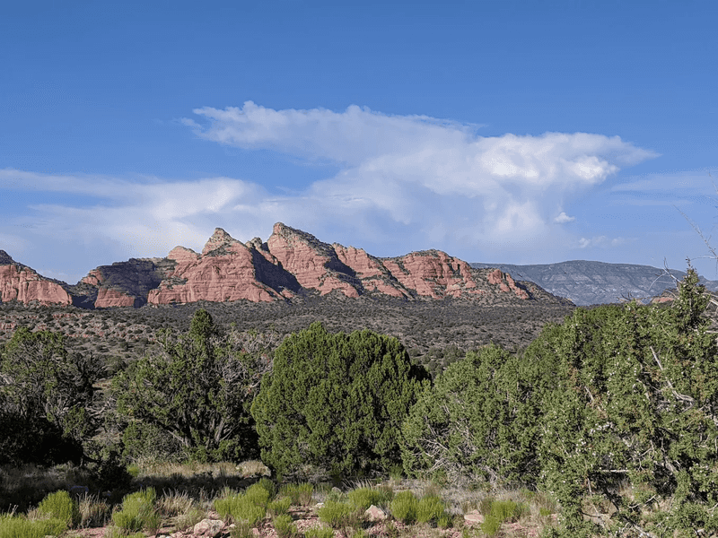 Prescott National Forest: Miles of Trails Right at Your Doorstep Prescott National Forest: Miles of Trails Right at Your Doorstep