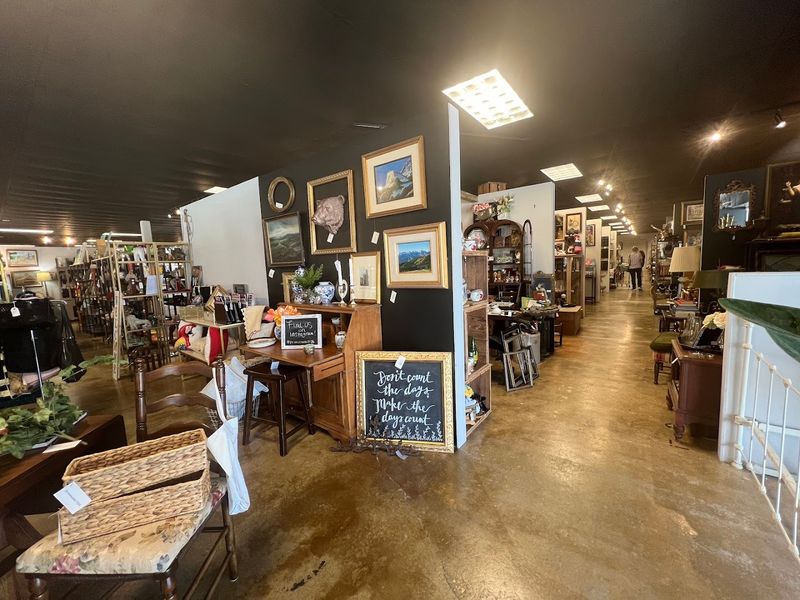 Prices That Range From Budget-Friendly to Premium Finds