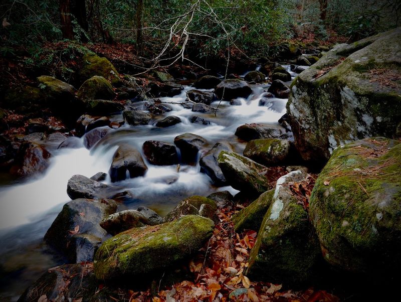 Primitive Camping Along the River: Unplug and Unwind