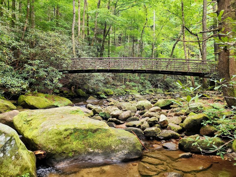 Primitive Camping Right on the Riverbank