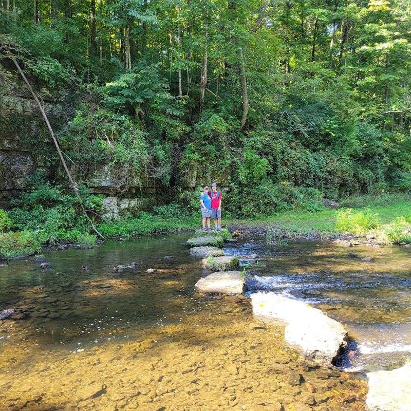 Primrose Nature Trail: Stones, Streams, and Surprises