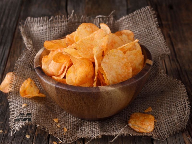 Protein Chips Protein Chips