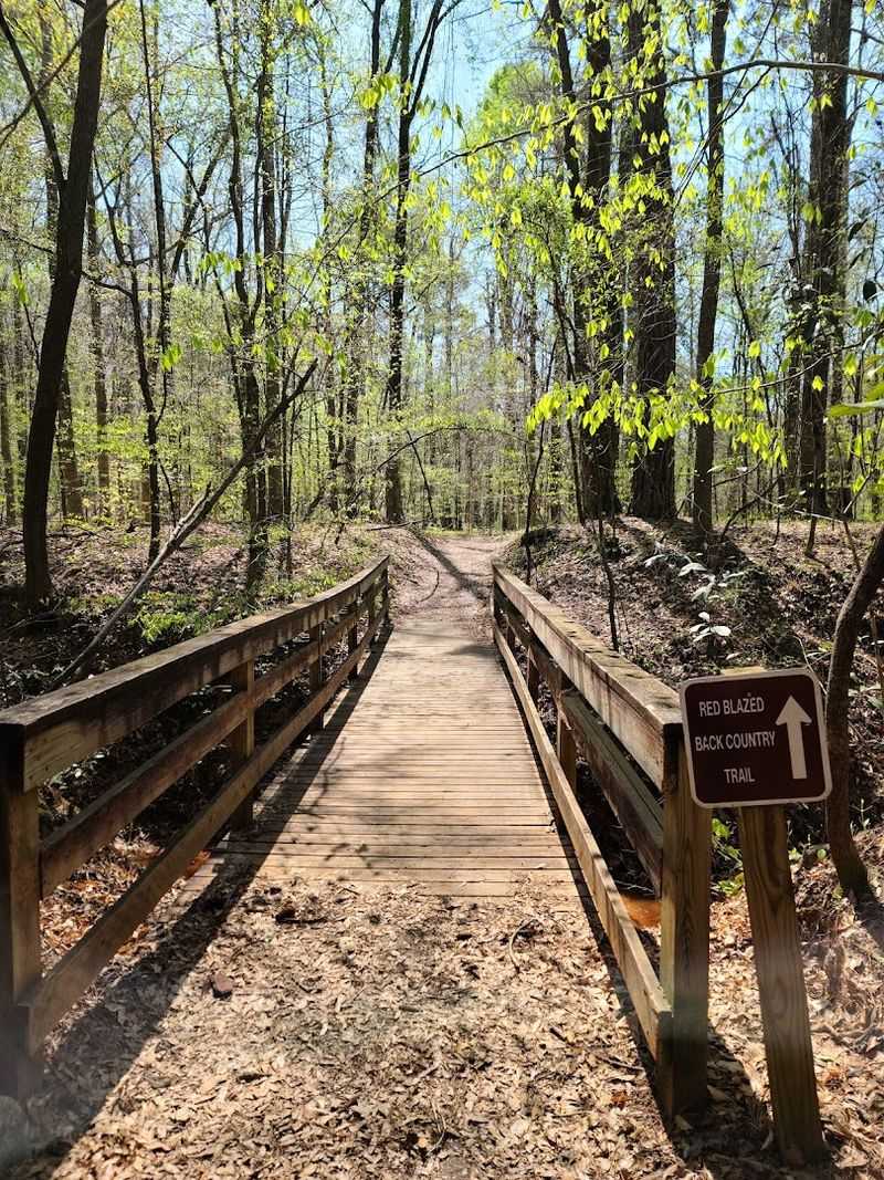 Providence Canyon State Park - Lumpkin, Georgia