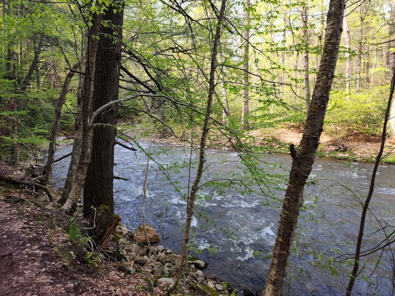 Proximity to Raystown Lake