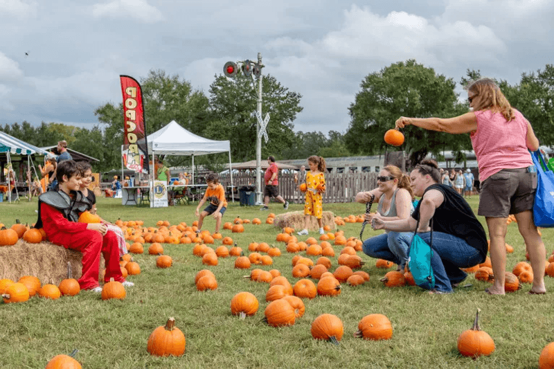 Pumpkin Patch Fall Festival Event