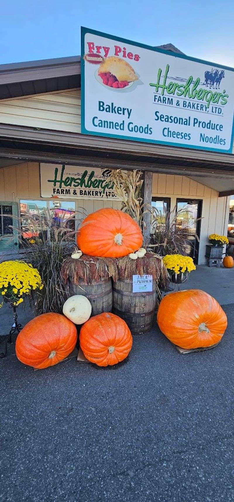 Pumpkin Patch Rides in the Fall Season