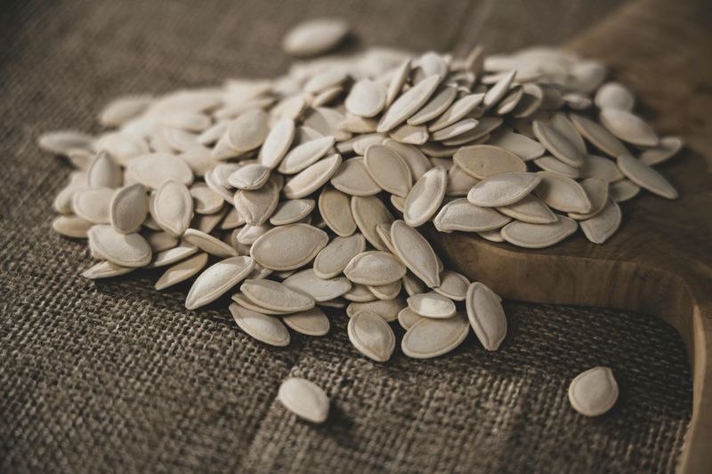 Pumpkin Seeds Pumpkin Seeds