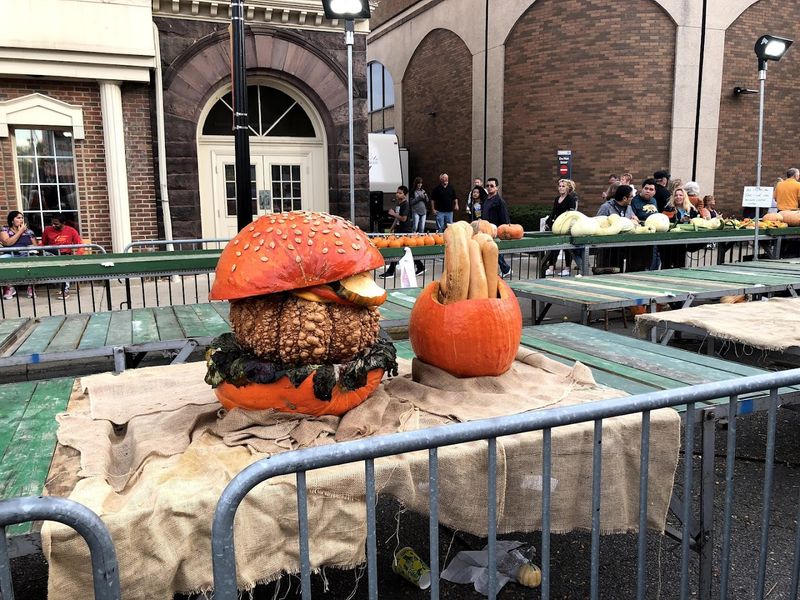 Pumpkin-Themed Foods You Can Only Dream About