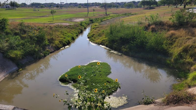 Quinta Mazatlan: A Birdwatcher's Paradise Right in the City