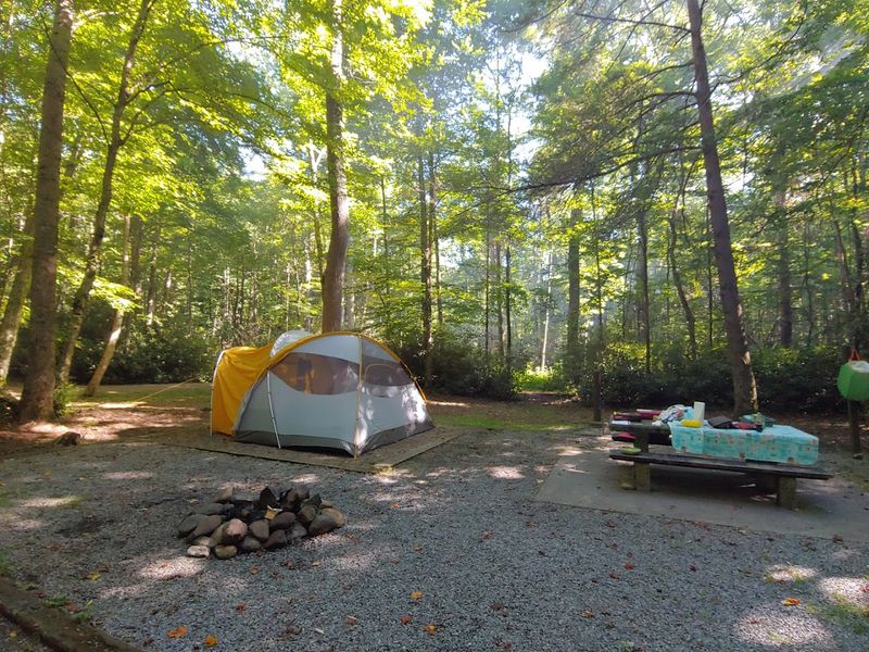 RV Camping with Hookups and Amenities