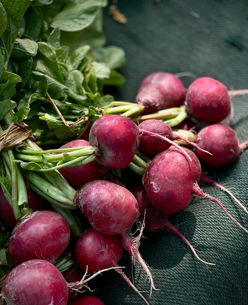 Radishes