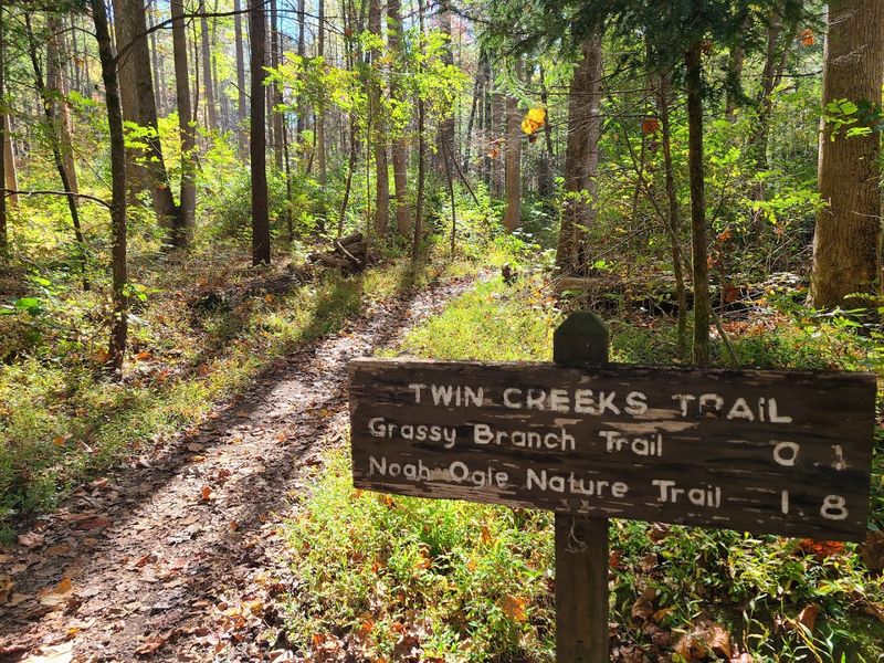 Ranger Programs and Visitor Centers Worth Your Time